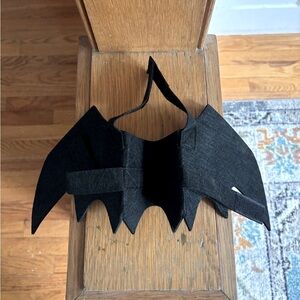 Cat Bat Wings Costume